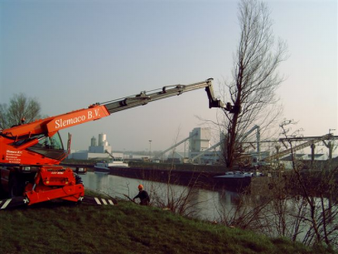 fotos bomen rooien 002